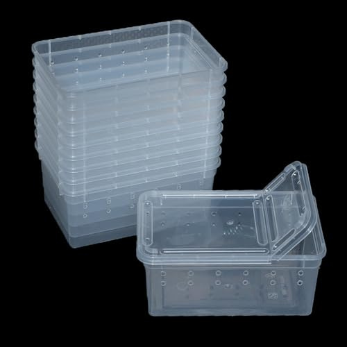 JOBEDE 10 Pcs Reptile Feeding Boxs, Plastic Spider Terrariums Breeding Box Feeder Insect Container Feeding Box for Small Reptile Bearded Dragon Lizard Spider Gecko Scorpion 5.9 x 3.9 x 2.5 in