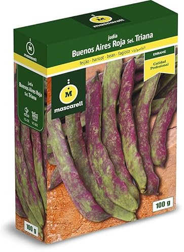 Mascarell Semillas, JUDÍA BUENOS AIRES ROJA SEL. TRIANA, Semillas Leguminosas, Fácil de Cultivar en Casa, 100 G.