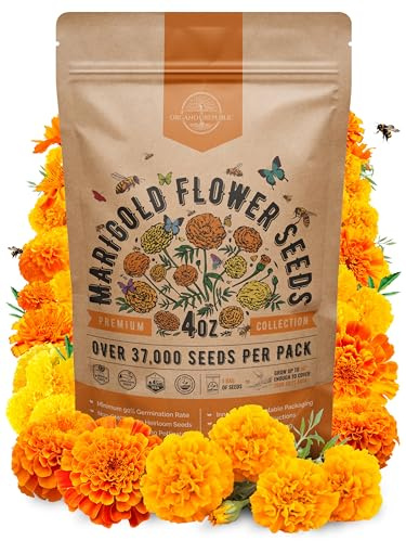 Marigold Seeds Pack 4 oz - Over 37,000 Non-GMO Heirloom Marigold Seeds for Planting Indoor & Outdoor Gardening, Flower Seed for Planting Home and Garden, Flowers Seed in Individual Packet