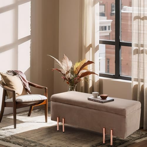 [en.casa] Ottomana con Seduta Imbottita Cassapanca Fondoletto Poggiapiedi per Camera da Letto Panca Contenitore per Ingresso Soggiorno 118x40x42 cm Velluto Marrone