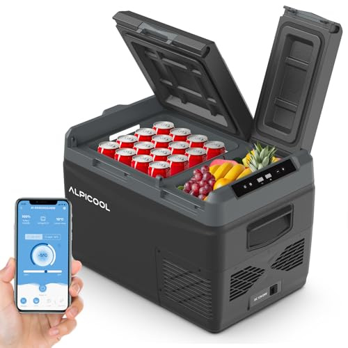 Alpicool KLS38 31L Kompressor Kühlbox Auto Dual Zone mit APP-Steuerung 2026