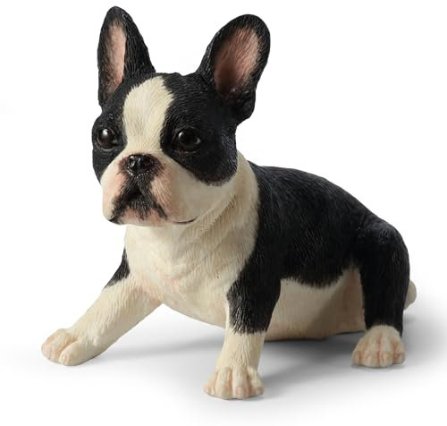 Veronese Design Boston Terrier Welpe, Kunstharz, handbemalt, Tierfigur, Sammlerstück, Heimdekoration
