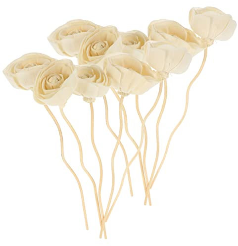 PLAFOPE 10Piezas Varillas Difusoras de Flores Difusor de Aceites Esenciales Recambios de Mikado Aromático SPA y Humidificador Palos Aromáticos Decorativos
