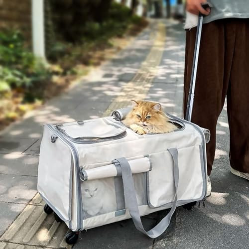 Pucaru Großer, Geräumiger Hundetransporter mit Rädern, Katzenbox Transportbox, Faltbar mit Zwei Fächern, Ideal für Reisen/Wandern/Camping