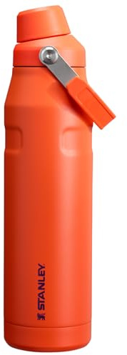 Stanley IceFlow Fast Flow Water Bottle 36 oz | Angled Spout Lid | Lightweight and Leakproof for Travel and Sports | Insulated Stainless Steel | BPA-Free | Tigerlily Plum