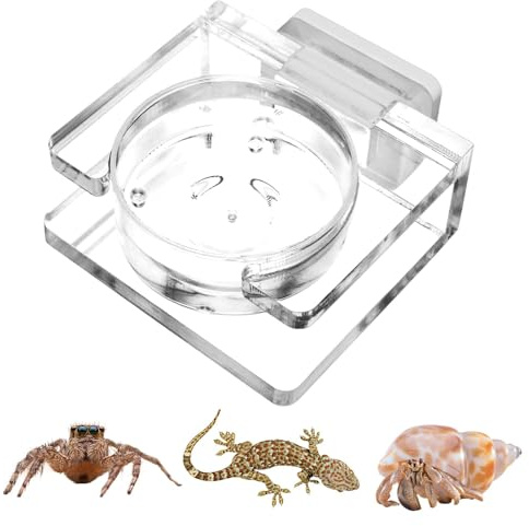 Tarantula Feeding Dish, Magnetic Reptile Water Bowl, Transparent Acrylic Bowl for Jumping Spider Tarantula Small Spider, Enclosure Accessories