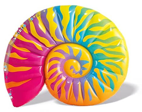 Intex ile Coquillage Multicolore