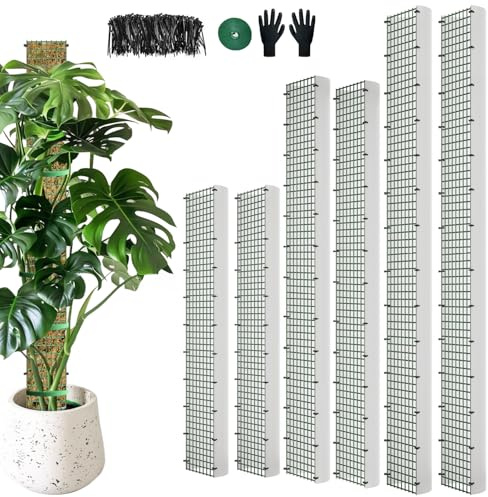 HOLANHING 60 tum/40 tum/24 tum mossstång, D-formad sphagnum mossstång, mossstänger för klättringsväxter, monstera, inomhusklättringsväxter (2 var och en av 60 tum 60 tum 24 tum)