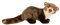 Uni-Toys - Steinmarder - 40 cm (Länge) - Plüsch-Marder - Plüschtier, Kuscheltier