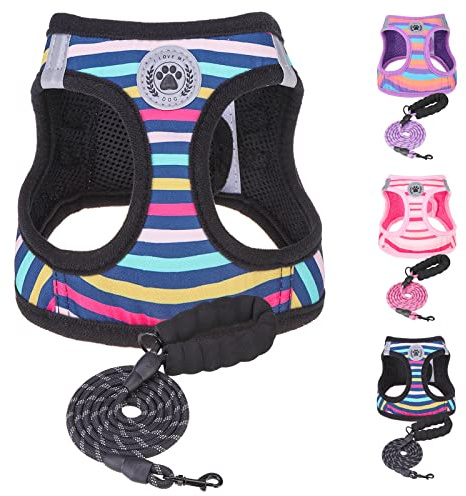 BEAUTYZOO Juego de arnés y Correa para Perros pequeños, arnés sin tirones para Cachorros, Perros y Gatos de tamaño XS, Malla de Aire Ajustable, Transpirable, Suave, sin asfixias, a Prueba de Escapes,