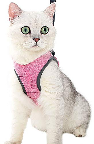 Poiinvc Arnese Antifuga per Gatti con Guinzaglio, Set Impermeabile e Resistente per Gattini, Comoda Combinazione Collare e Pettorina per Gatti Adulti e Cuccioli