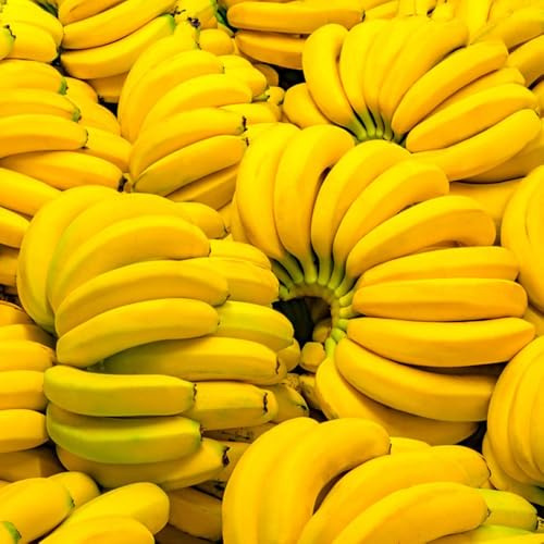 semi di banana di banano per gli amanti del giardino banane da colonnari, da balcone Semi balcone resistenti siepi, arbusti, 85pcs