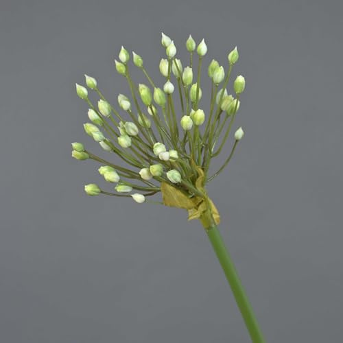 artplants.de Konstgjord blomma prydnadslök KATYNA, kräm, 70 cm