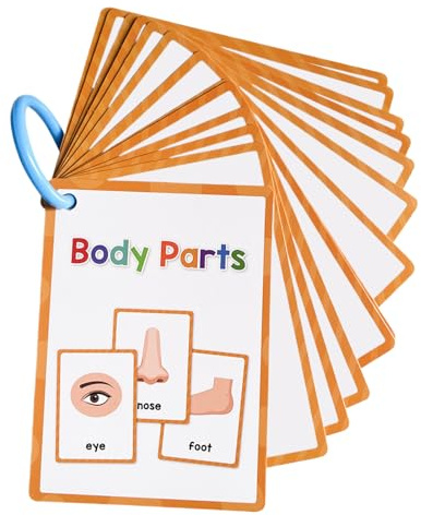 Générique Flash Cards English Body - Illustrated Fun, Compact Design Easy to Maintain, Interactive Education | Flashcard Vocabulary Words for Thes, Early Learning,
