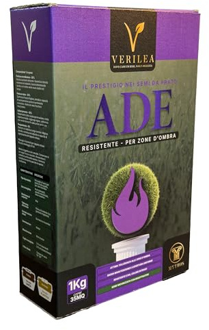 Verilea ADE Semi da Prato micorizzati per Zone d'Ombra, esteticamente superiore e resistenza elevata (1 kg per 35mq)