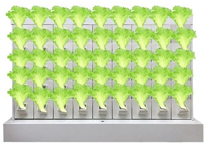 Kit de sistema de cultivo hidropónico, torre vertical para frutas, verduras, hierbas y verduras en miniatura