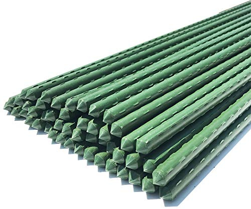WAENLIR Garden Stakes 60 inch 5ft Sturdy Tomato Stakes, Plant Stakes for Outdoor Plants, Plant Support Sticks for Gardening, Pack of 50