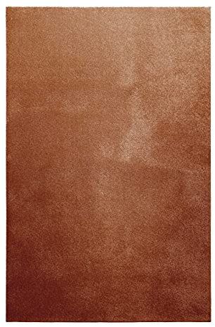 Homie Living | Kurzflor Teppich Super Soft, weich und kuschelig für Wohnzimmer, Schlafzimmer, Flur oder Kinderzimmer | Venice | Rost Braun | (130 x 190 cm)