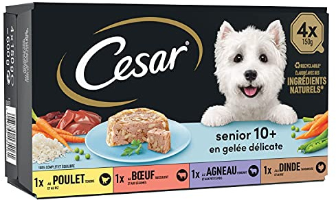 Cesar Repas pour Chien Senior - 24 Barquettes (Lot de 6 Packs 4x150g) - Pâtée pour Chien en Gelée - Dinde/Boeuf/Poulet/Agneau - Nourriture Complète & Equilibrée avec des Ingrédients Naturels