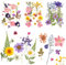 NVIYAM 66 Piezas Conjunto de Flores Secas Naturales Flores Prensadas Secas Naturales Flores Prensadas Reales Manualidades Flores Secas Prensadas Hojas Secas Mixtas DIY Flores Preservada para Resina