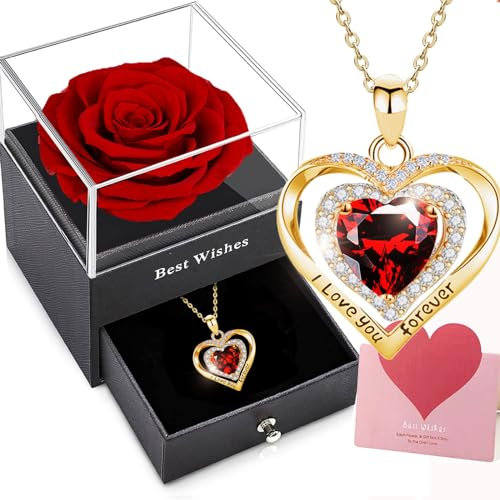 Willuck Ewige Rose Damen Geschenke für Freundin, Konservierte Blume Infinity Echte Rosenbox Geburtstagsgeschenk für Frauen Weihnachten Valentinstag Jahrestag Muttertagsgeschenk für Mama
