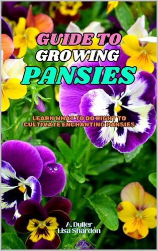 Guide to Growing Pansies: Learn what to do right to cultivate enchanting Pansies