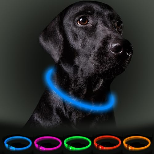 Nepfaivy Leuchthalsband Hund USB Aufladbar - Wasserdichtes Hundehalsband Leuchtend mit 3 Beleuchtungsmodi, Längenverstellbareres LED Halsband für Kleine, Mittlere und Große Hunde (Blau)