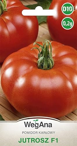 WegAna Tomater Jutrosz (F1) 0,2g Tomatfrön Robusta grönsaksfrön Växthusfrön Trädgård Tidig sort