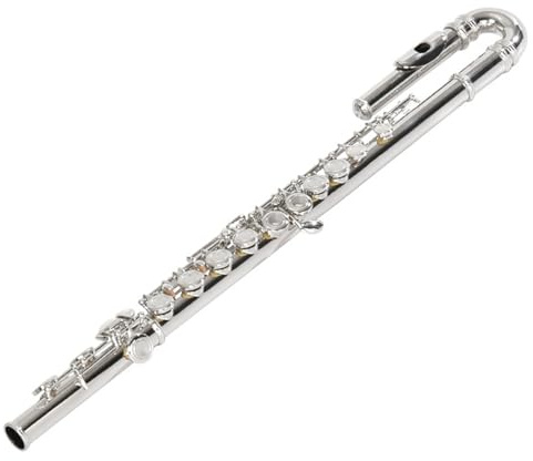 tvärflöjt instrument Flöjt 16-håls C-nyckelflöjt nybörjarinstrument