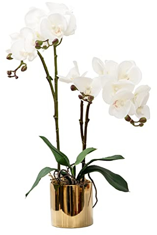 CXGS Artificial Orchid Flower Plant 19.7'' Real Touch Faux Orchids in Vase