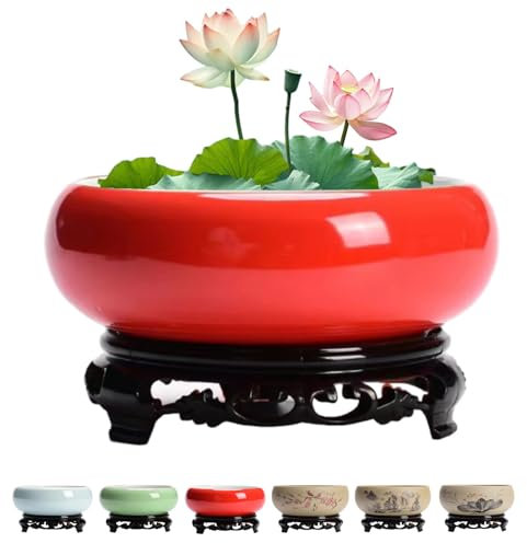 Shuoyy Planteur De Bol De Lotus pour Graines Fleurs,Lotus en CéRamique Pottes Plantes,Hydroponiques à L'IntéRieur avec Base en Plastique,jardinière de Bol de Lotus en céramique Chinois avec Support