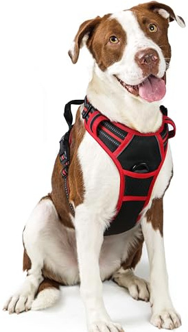 rabbitgoo Harnais Chien Anti Traction, Arnet pour Chiens avec Poignée Contrôl, Facile à Mettre, Gilet Réfléchissant Réglable avec Attache Devant, Harnais pour Chien Grand Moyen, Noir et Rouge, L