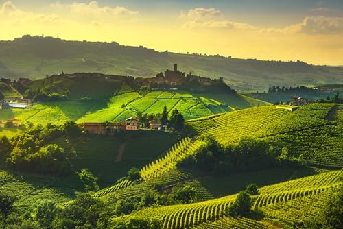 Quadro acrilico 80 x 50 cm: Lunghi vigneti Tramonto Panorama, Castiglione Falletto e La Morra, Piemonte, Nord Italia Europa. (110085149)