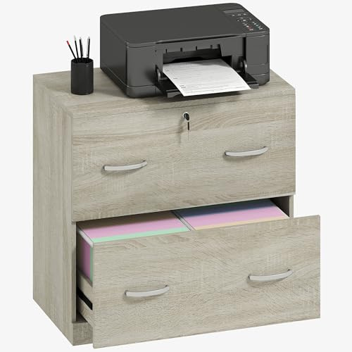 Vinsetto Cajonera de Escritorio con 2 Cajones Cajonera de Oficina con Guías para Carpetas Colgantes para A4 Cerradura y 2 Llaves para Estudio Salón 77x42x72 cm Natural
