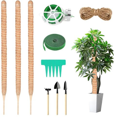 Lot de 3 tiges de Plantes de 60 cm en Coco Monstera Tuteur de Mousse Flexible pour Monstera avec Accessoires pour Plantes grimpantes