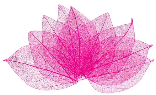 M METERXITY 100 Confezione Foglie Scheletro Naturale, Foglie Pressate e Essiccate in Gomma Naturale con Venature per Resina/DIY Crafts/Card, Foglie Piccole Decorative [4-6cm, Rosso Rosa]