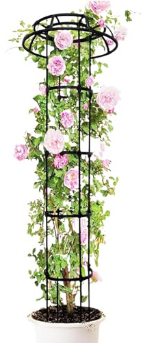 Enrejado de jardín para plantas trepadoras – Estructura redonda de seta con parte superior redondeada | Soporte ventosa resistente para pepinos, hortalizas, calabacines, frijoles, vides y rosas