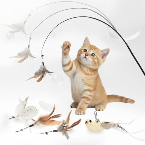 OTraki Canne a Peche Chat, Canne à Pêche Rétractable avec Poignée en Bois, Jouet Chat Interactif avec 1 Oiseaux avec Cloche et 3 Plumes de Remplacement avec Cloche, pour Chats et Chatons