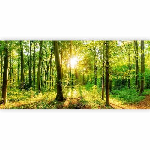 murando PREMIUM Fotomurales Bosque 550x250 cm XXL Papel de esquina Papel pintado tejido no tejido Decoración de Pared decorativos Murales moderna de Diseno Paisaje Panorama b-B-0383-a-a