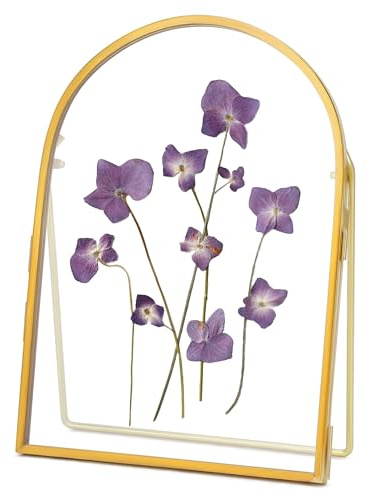REDHUGO Double Glass Frame for Pressed Flowers Handmade, Metal Floating Picture Frame for Pressed Flower, Tabletop Display, Brass, ArcShaped, Gold, 5x7 inches (FRAME ONLY)