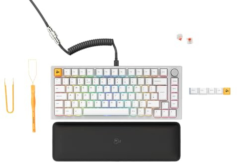 GLORIOUS Gaming GMMK PRO 75% - Modular Mechanical Gaming Keyboard, TKL Size, 1.5kg Frame, Customisable, Fox Switches, Coiled Cable, Wrist Rest, PBT Keycaps, RGB - English QWERTY Layout