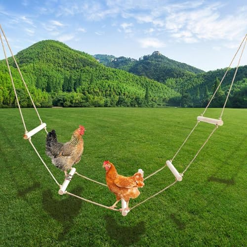 Dnoifne Chicken Perch Stand – Natural Wood Chick Swing Toy for Coop | Chicken Roosting Bars & Outdoor Perch Toy for Poultry, Chickens, Hens, Large Birds & Parrots – 350 × 40 cm