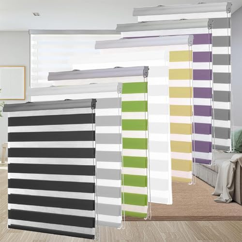 Estor Oscurante Enrollable 60 x 250 cm Enrollable, Cadena, Estor Enrollable con Doble Tejido con Cadena, para Puertas y Ventanas, Morado