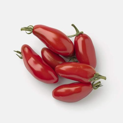 50 tomatfrön San Marzano - SemiSauvage Permaculture