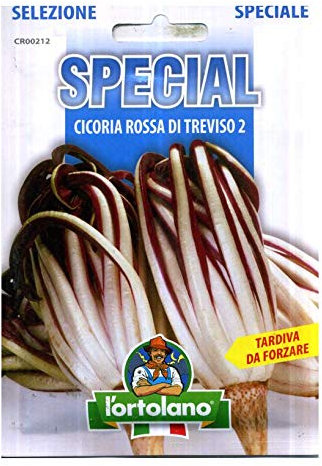 Sementi di ortaggi ibride e selezioni speciali ad uso amatoriale in buste termosaldate (80 varietà) (CICORIA ROSSA DI TREVISO 2 (TARDIVA DA FORZARE))