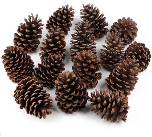 12Pcs Natural Fir Pine Cones 3 TO 4.5 Tall Large Pine Cones Ornaments for Crafts DIY Florist Xmas Wreaths Garlands Wedding Christmas Tree Decoration