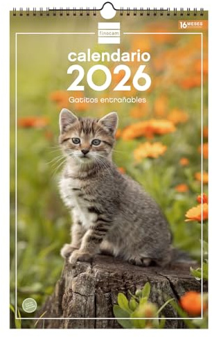 Finocam - Calendrier mural 2026 25 x 40 cm avec vue mois janvier - décembre 2026 + sept. - Déc. 2025 (4 mois) réduits | Calendrier 2026 | Images Chatons - Espagnol