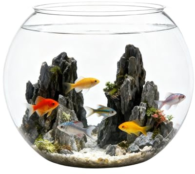 Vase transparent incassable pour aquarium