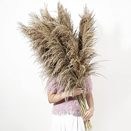 9 Stems Pampas Grass Decor Tall 48''/4 FT, Long Fluffy Dried Pompas Grass, Large Pampas Grass for Floor Vase, Rustic Wedding, Baby Shower, Party, Farmhouse, Boho Home Decor