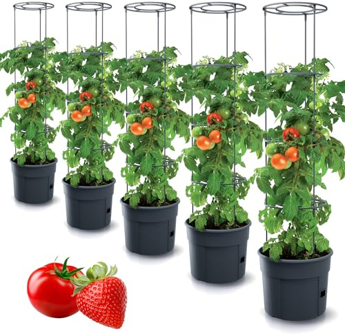 Tymar Tomatkruka planteringskruka tomatkruka balkong med spaljé med vattentank (5 stycken Ø 40 cm)
